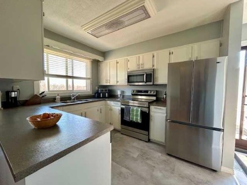 5324 54Th Street, Bashaw, AB - Indoor Photo Showing Kitchen With Double Sink