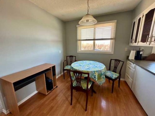 5324 54Th Street, Bashaw, AB - Indoor Photo Showing Dining Room