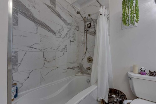 4212 C + E Trail, Lacombe, AB - Indoor Photo Showing Bathroom