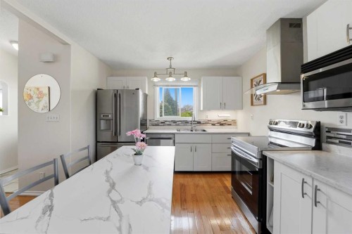 35 Ray Avenue, Red Deer, AB - Indoor Photo Showing Kitchen With Double Sink