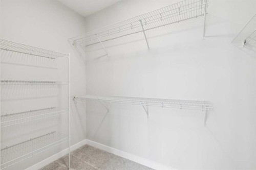 261 Dawson Wharf Crescent, Chestermere, AB - Indoor With Storage