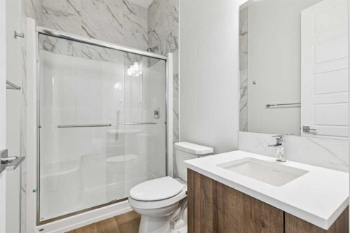261 Dawson Wharf Crescent, Chestermere, AB - Indoor Photo Showing Bathroom