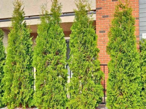 102-7031 Gray Drive, Red Deer, AB 