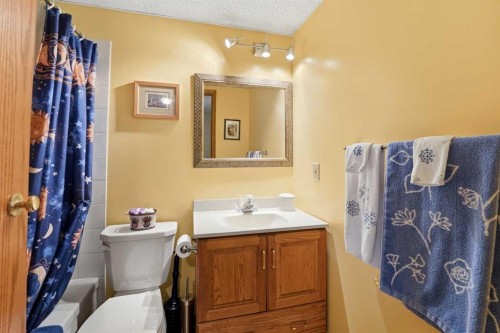 74 Donnelly Crescent, Red Deer, AB - Indoor Photo Showing Bathroom