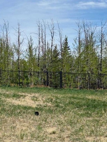 15 Vanson Close, Sylvan Lake, AB - Outdoor