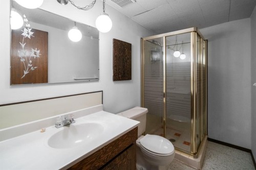 3936 56A Street Close, Camrose, AB - Indoor Photo Showing Bathroom