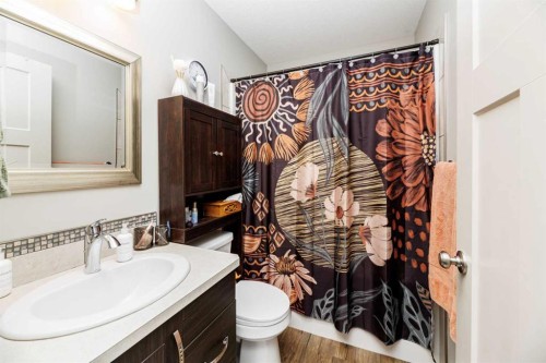 52 Vancouver Crescent, Red Deer, AB - Indoor Photo Showing Bathroom