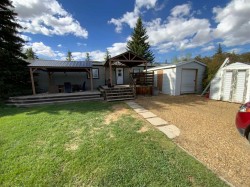 109 3 Street EASTDelia, AB T0J 0W0