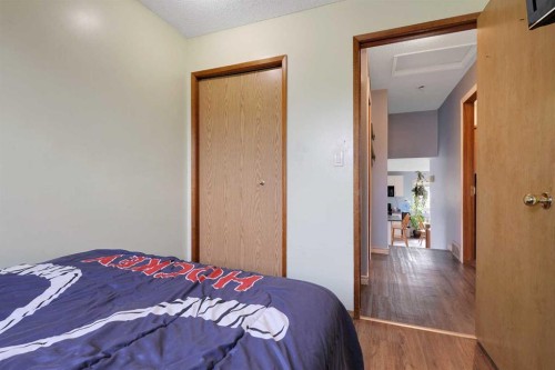 250 Cornett Drive, Red Deer, AB - Indoor Photo Showing Bedroom