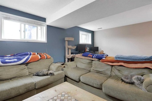 250 Cornett Drive, Red Deer, AB - Indoor