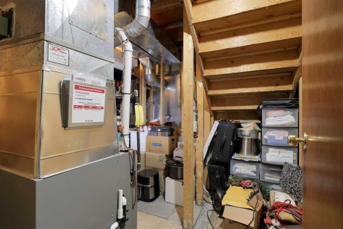 250 Cornett Drive, Red Deer, AB - Indoor Photo Showing Basement