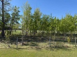 On Township Road 432 Rural Ponoka County, AB T4J 1R2
