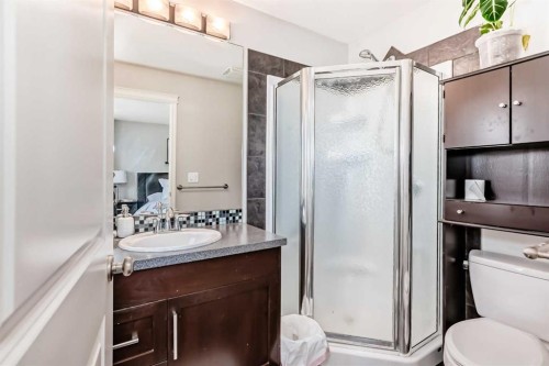 21 Valley Crescent, Blackfalds, AB - Indoor Photo Showing Bathroom