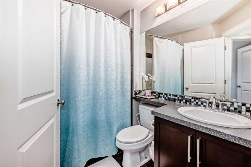 21 Valley Crescent, Blackfalds, AB - Indoor Photo Showing Bathroom