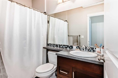 21 Valley Crescent, Blackfalds, AB - Indoor Photo Showing Bathroom