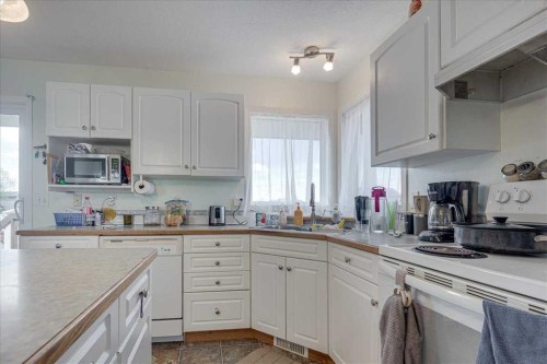 4 Harrison Road, Sylvan Lake, AB - Indoor Photo Showing Kitchen With Double Sink