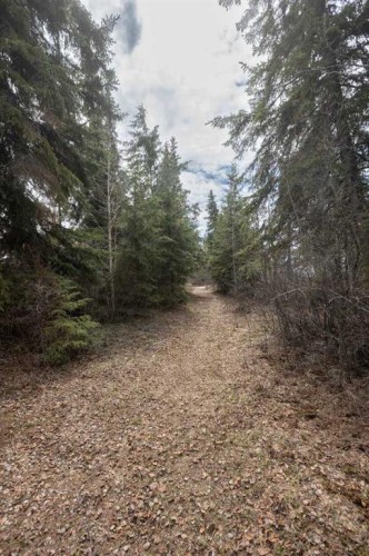 2731 6 Street, Calling Lake, AB - Outdoor With View