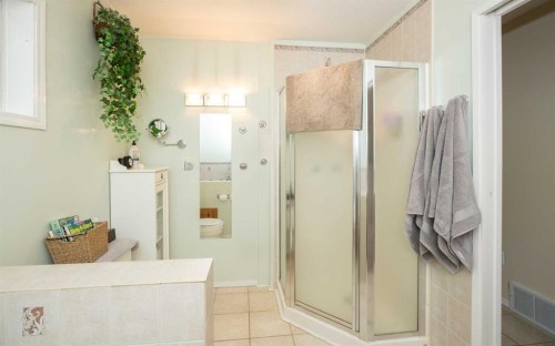 2731 6 Street, Calling Lake, AB - Indoor Photo Showing Bathroom