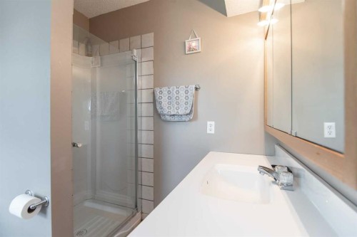 5024 49 Street, Clive, AB - Indoor Photo Showing Bathroom
