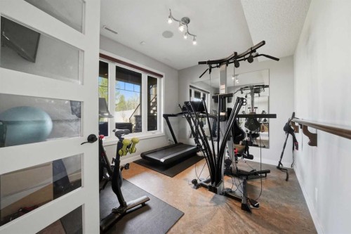 28 Sawyer Close, Red Deer, AB - Indoor Photo Showing Gym Room