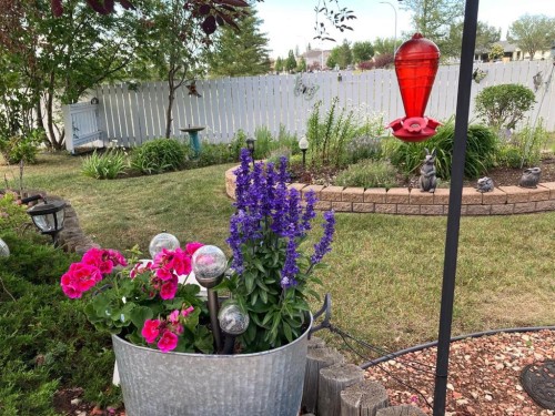 3932 56A Street Close, Camrose, AB 