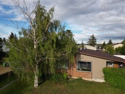 59 Nichols Crescent Red Deer, AB T4P 1P5