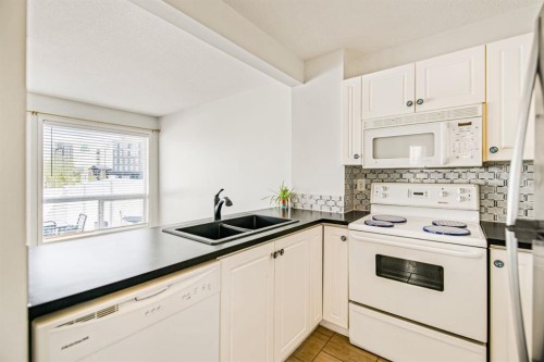 17-6300 Orr Drive, Red Deer, AB - Indoor Photo Showing Kitchen With Double Sink