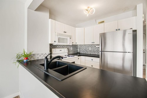 17-6300 Orr Drive, Red Deer, AB - Indoor Photo Showing Kitchen With Double Sink