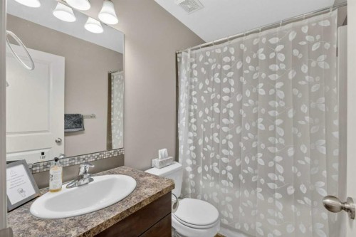 135 Stephenson Crescent, Red Deer, AB - Indoor Photo Showing Bathroom