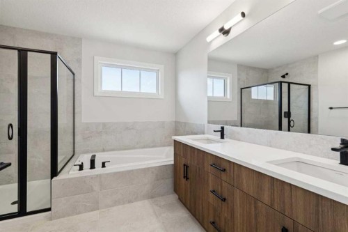 271 Bridgeport Circle, Chestermere, AB - Indoor Photo Showing Bathroom