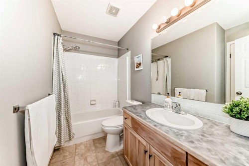 6 Timmons Close, Lacombe, AB - Indoor Photo Showing Bathroom