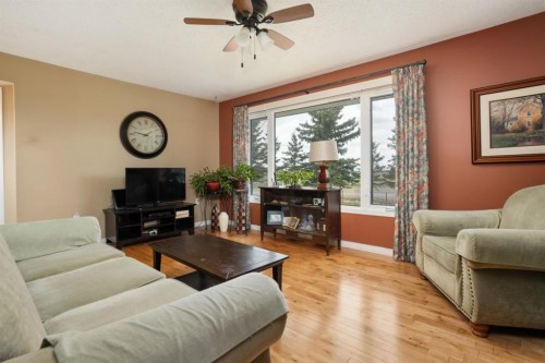 48107 Range Road 220, Rural Camrose County, AB - Indoor Photo Showing Living Room