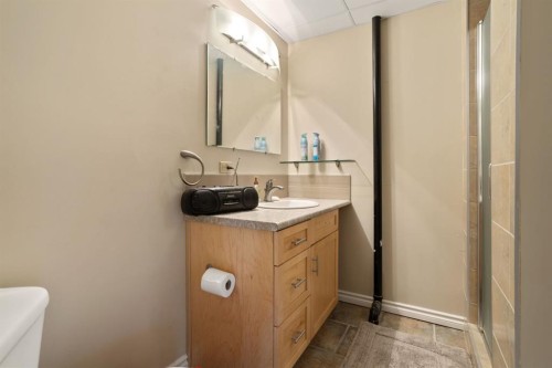 48107 Range Road 220, Rural Camrose County, AB - Indoor Photo Showing Bathroom
