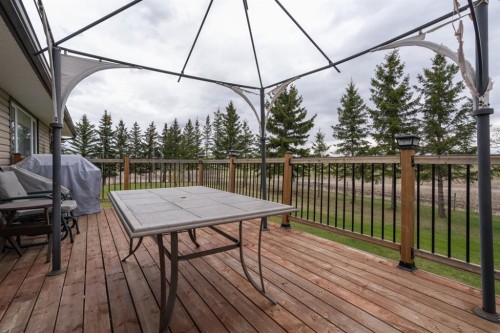 48107 Range Road 220, Rural Camrose County, AB - Outdoor With Deck Patio Veranda With Exterior