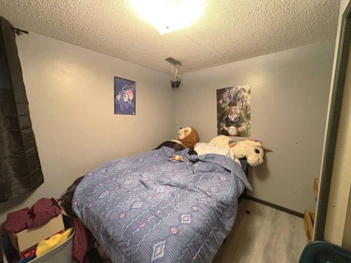 5602 47 Avenue West, Forestburg, AB - Indoor Photo Showing Bedroom
