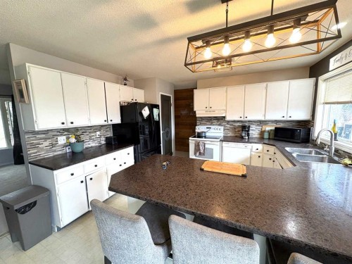 5602 47 Avenue West, Forestburg, AB - Indoor Photo Showing Kitchen With Double Sink