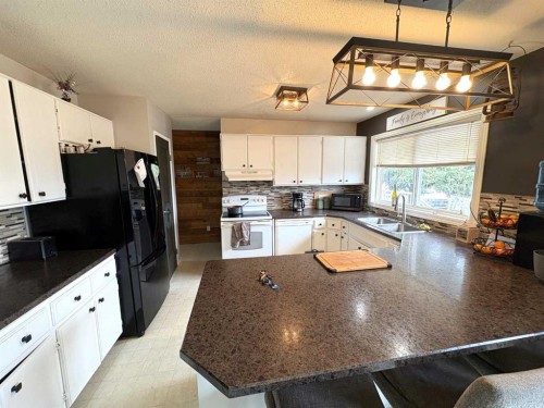 5602 47 Avenue West, Forestburg, AB - Indoor Photo Showing Kitchen With Double Sink