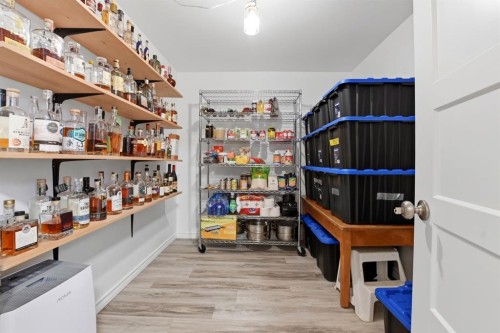 60 Anquetel Close, Red Deer, AB - Indoor With Storage