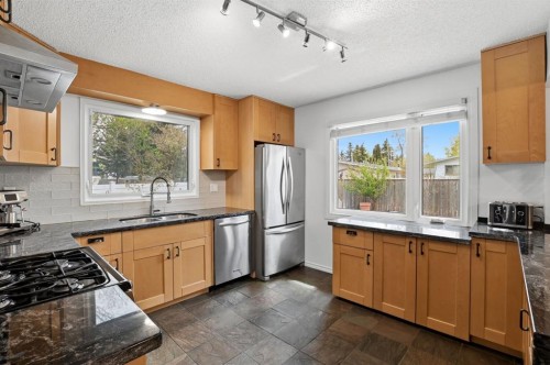 60 Anquetel Close, Red Deer, AB - Indoor Photo Showing Kitchen With Double Sink
