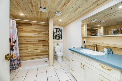 4836 49 Street, Innisfail, AB - Indoor Photo Showing Bathroom