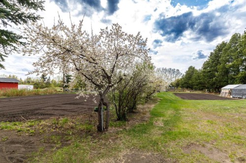39508B Rr271, Rural Lacombe County, AB - Outdoor With View