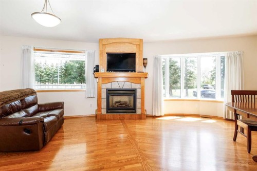 39508B Rr271, Rural Lacombe County, AB - Indoor Photo Showing Living Room With Fireplace
