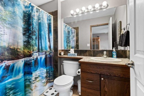 179 Issard Close, Red Deer, AB - Indoor Photo Showing Bathroom