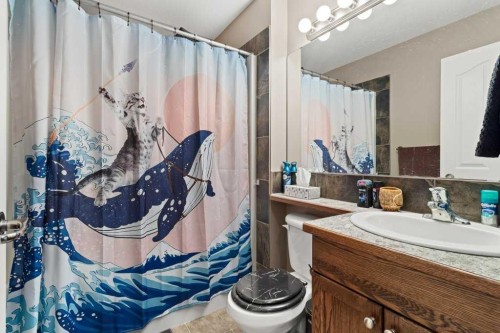 179 Issard Close, Red Deer, AB - Indoor Photo Showing Bathroom