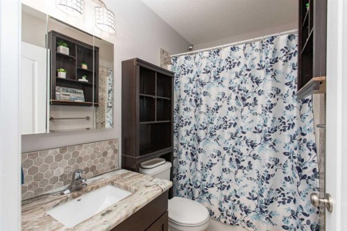 242 Viscount Drive, Red Deer, AB - Indoor Photo Showing Bathroom