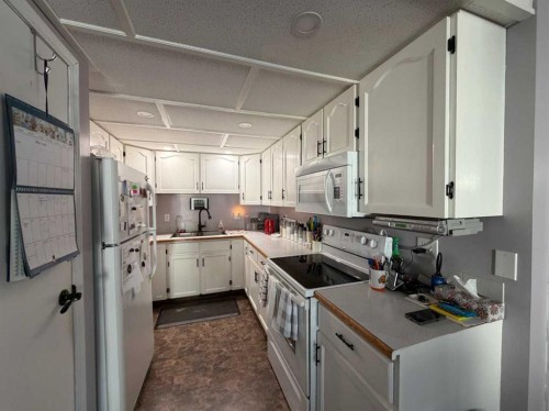 4606B 48 Avenue, Sylvan Lake, AB - Indoor Photo Showing Kitchen
