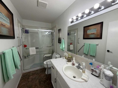 4606B 48 Avenue, Sylvan Lake, AB - Indoor Photo Showing Bathroom