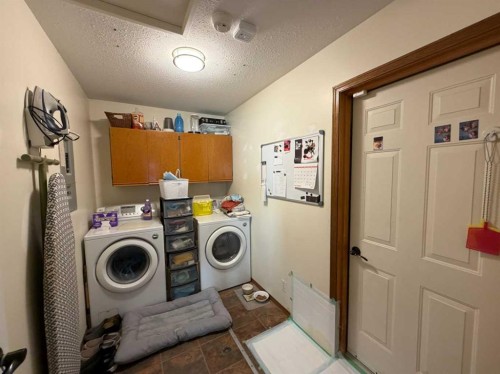 4606B 48 Avenue, Sylvan Lake, AB - Indoor Photo Showing Laundry Room
