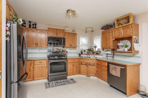 14 Lincoln Park, Lacombe, AB - Indoor Photo Showing Kitchen With Double Sink