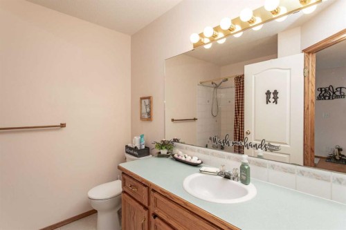 14 Lincoln Park, Lacombe, AB - Indoor Photo Showing Bathroom
